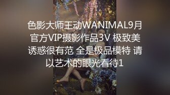 色影大师王动WANIMAL9月官方VIP摄影作品3V 极致美诱惑很有范 全是极品模特 请以艺术的眼光看待1