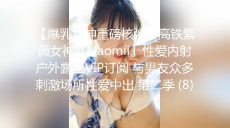 【爆乳女神重磅核弹】高铁紫薇女神『Naomii』性爱内射户外露出VIP订阅 与男友众多刺激场所性爱中出 第二季 (8)