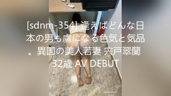 [sdnm-354] 逢えばどんな日本の男も虜になる色気と気品。異国の美人若妻 宍戸翠蘭 32歳 AV DEBUT