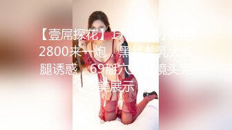 【壹屌探花】175车模小姐姐2800来一炮，黑丝美乳大长腿诱惑，69掰穴正对镜头完美展示