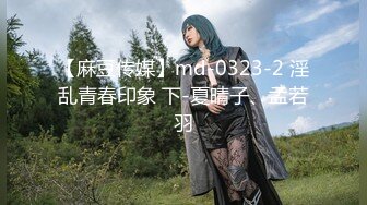 【麻豆传媒】md-0323-2 淫乱青春印象 下-夏晴子、孟若羽