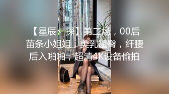 【星辰丶探】第二场，00后苗条小姐姐，美乳翘臀，纤腰后入啪啪，超清4K设备偷拍